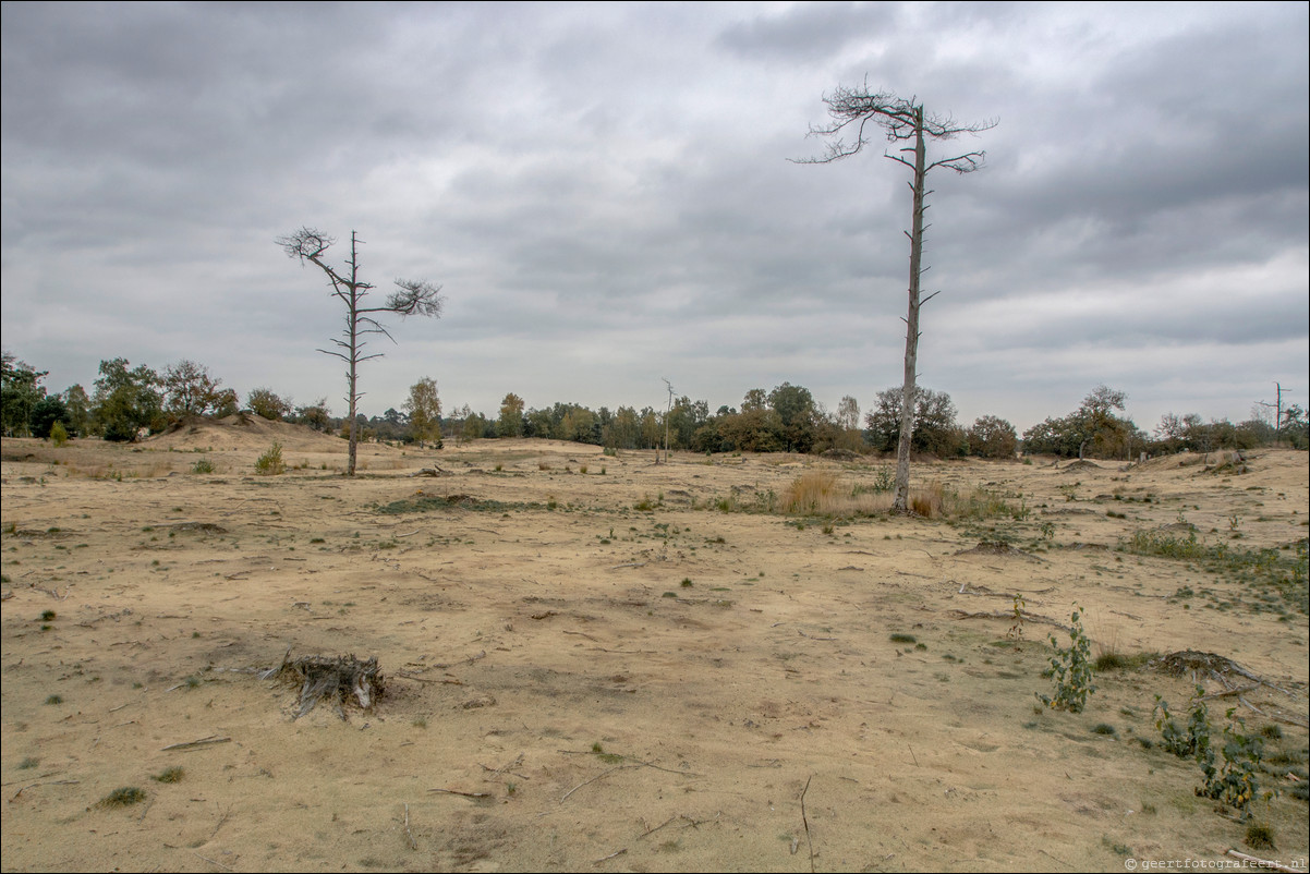 Pelgrimspad: Drunen - Den Bosch - Vught